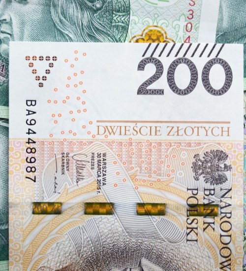 Ciężki rok dla polskiej złotówki. Co będzie się działo z walutami w 2023 roku?